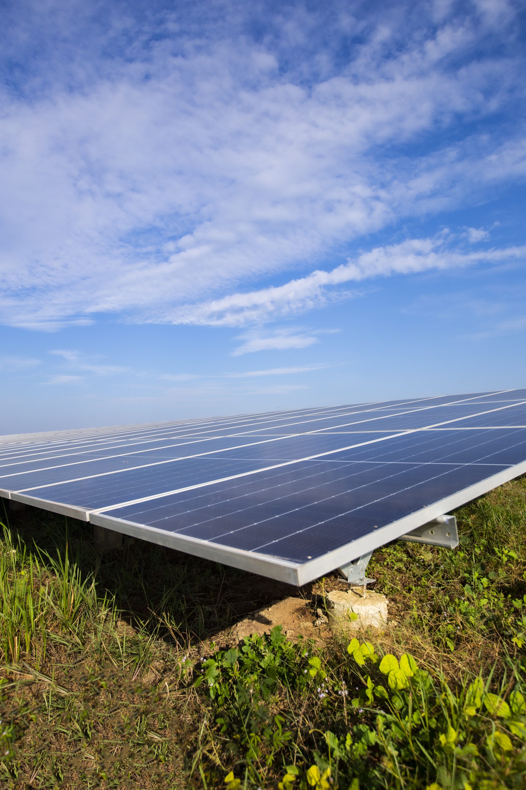 Tấm pin năng lượng