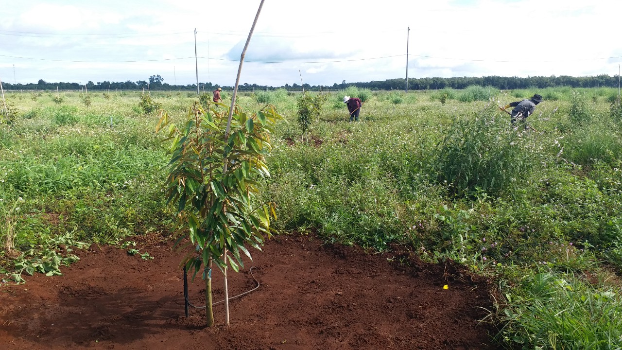 High-tech agriculture